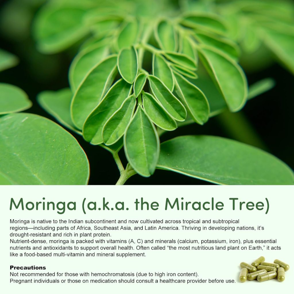 moringa_heart_health - كبسولات أوراق المورينغا